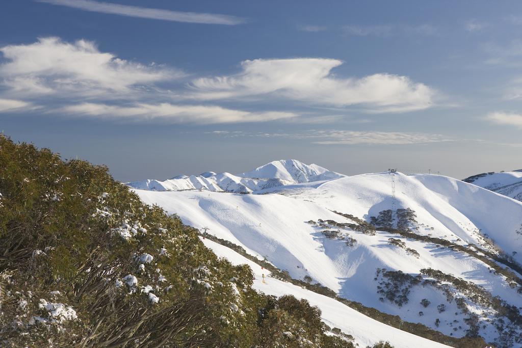 Sambuca Apartment Mount Hotham Bilik gambar
